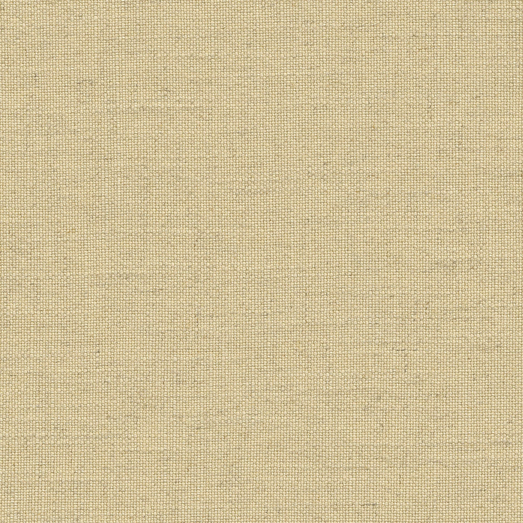 Schelp Schelp-06 Roman Blind