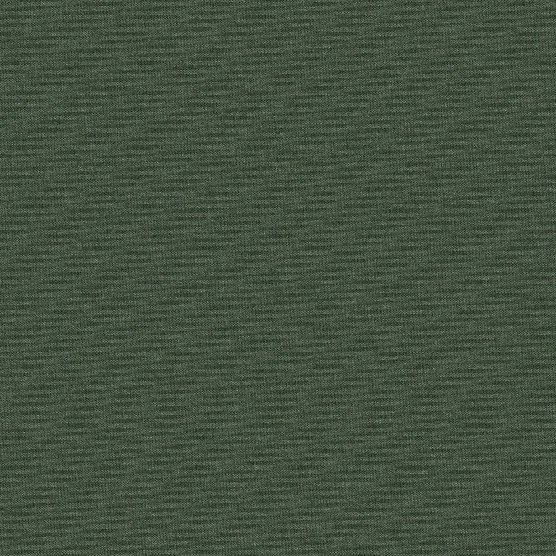 GOODNIGHT-84 Curtains