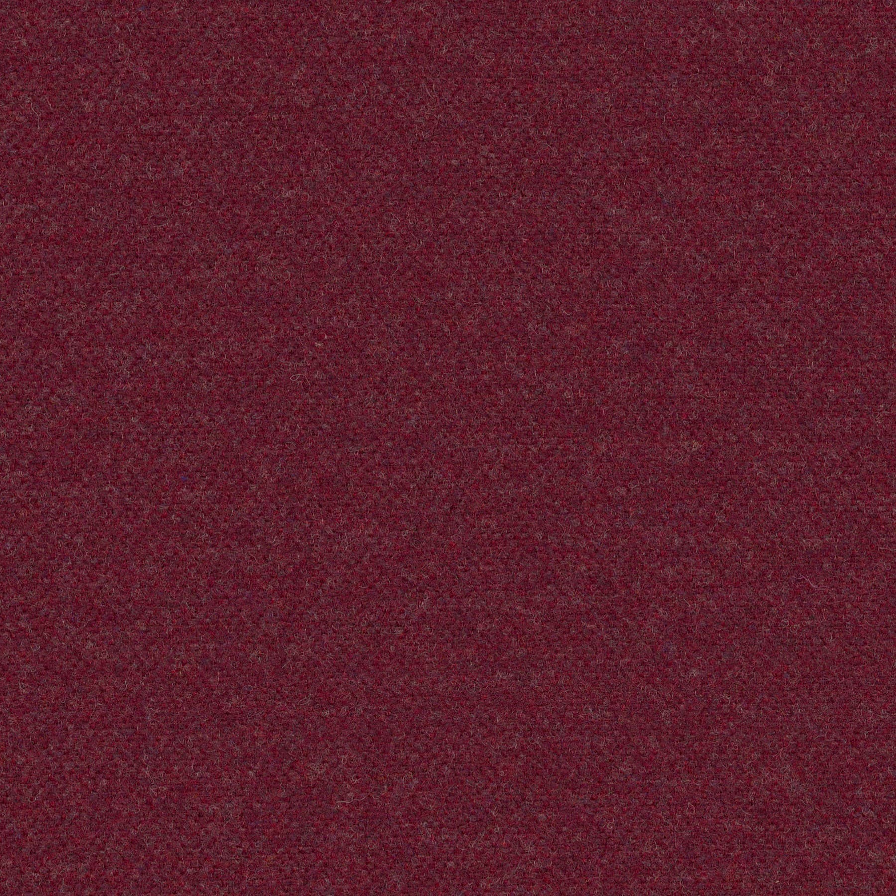 FELTWOOL-33 Curtains