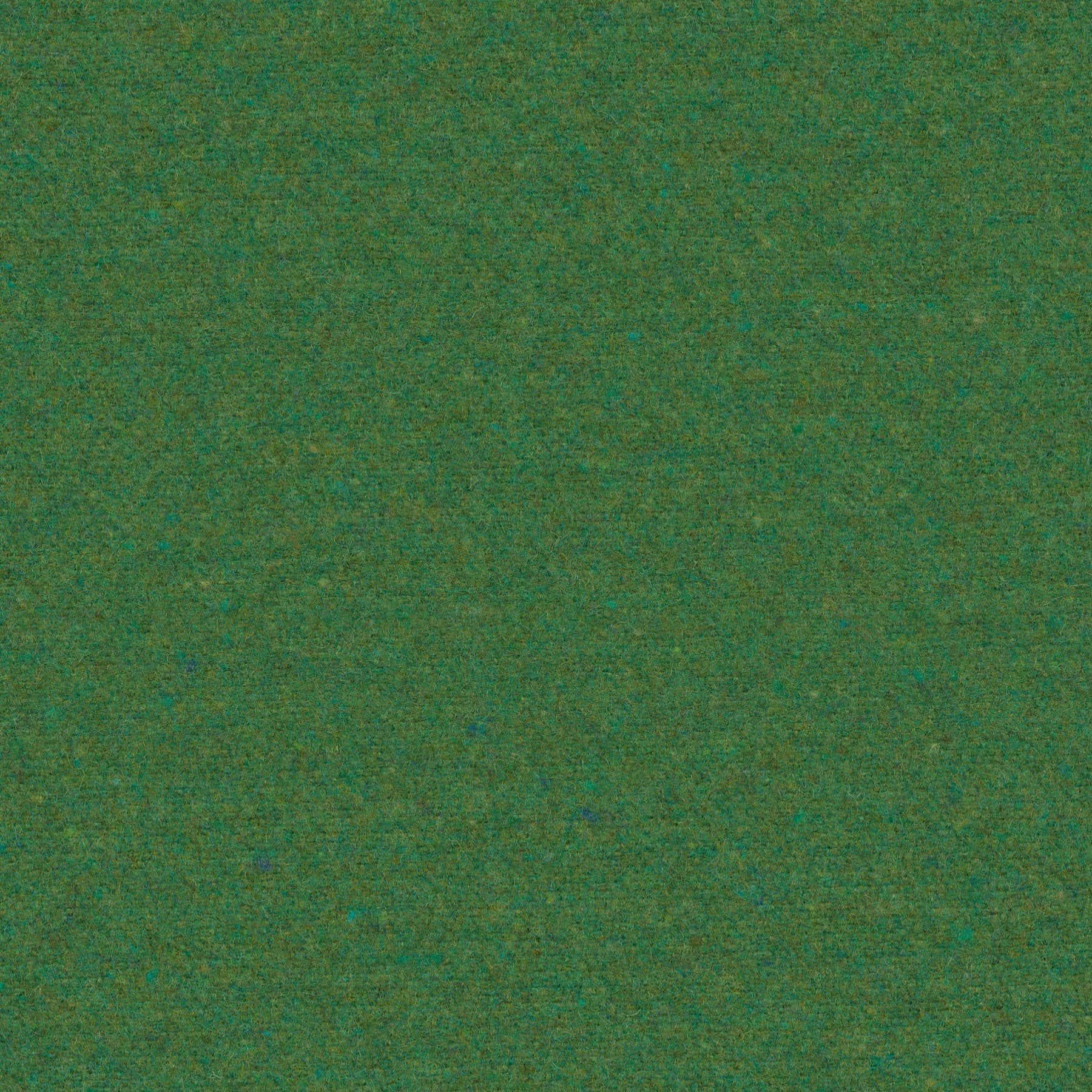 FELTWOOL-46 Curtains