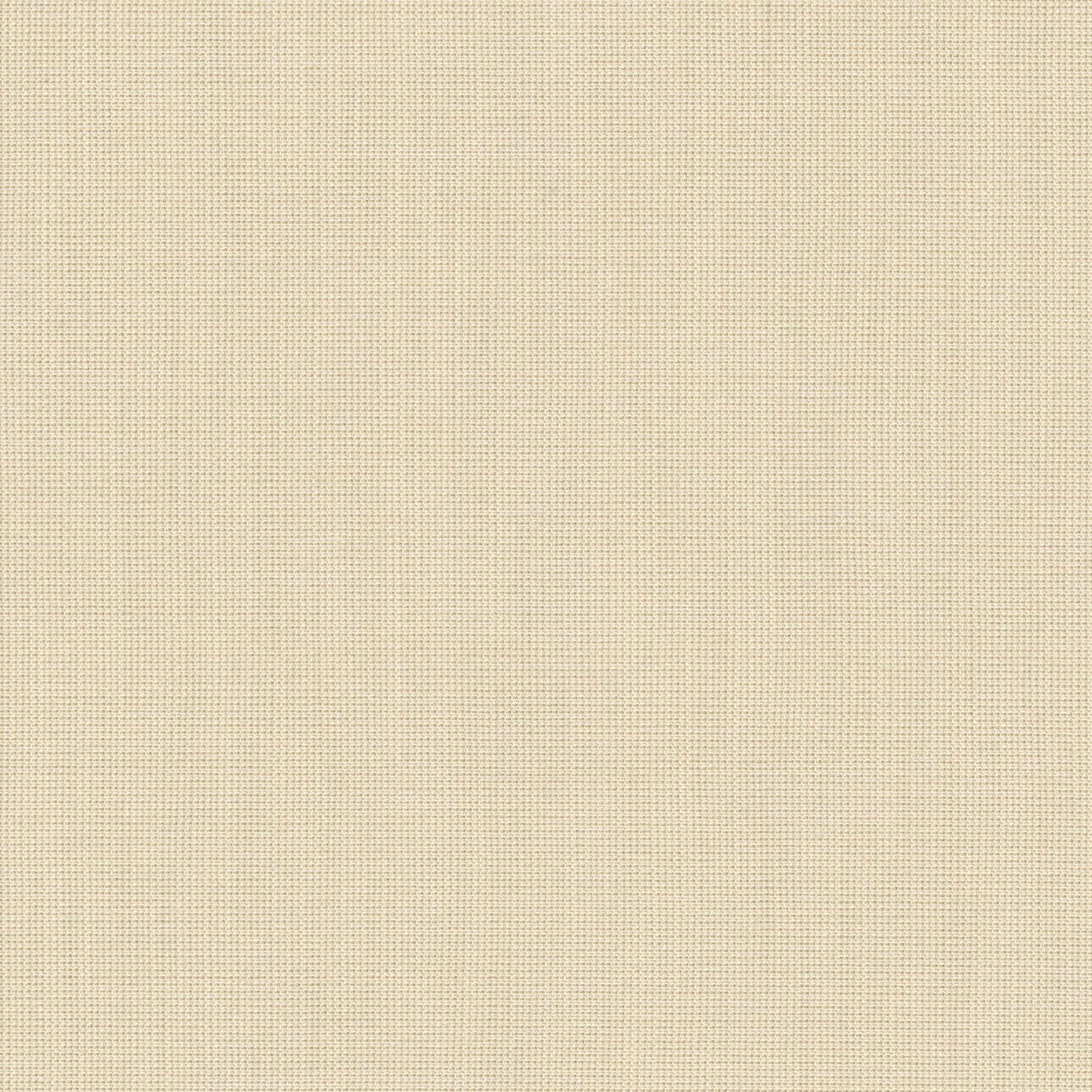 Be Be-19 Roman Blind