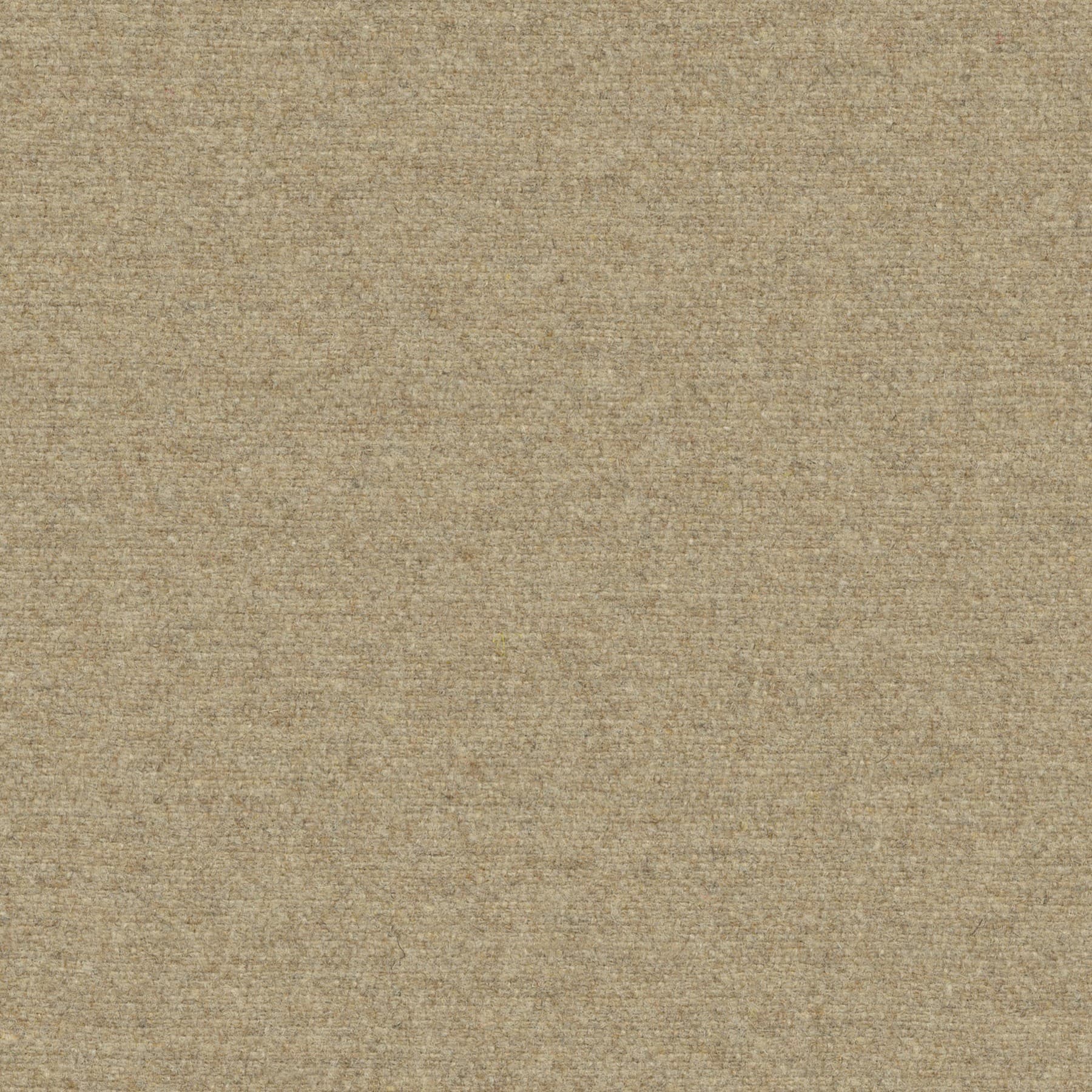 FELTWOOL-99 Curtains