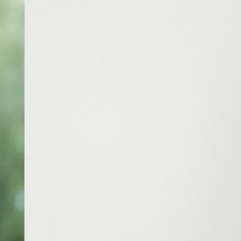 Dense 6813 Roller Blind