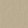 Forecast Forecast-12 Roman Blind