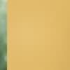 Unico 1013 Roller Blind